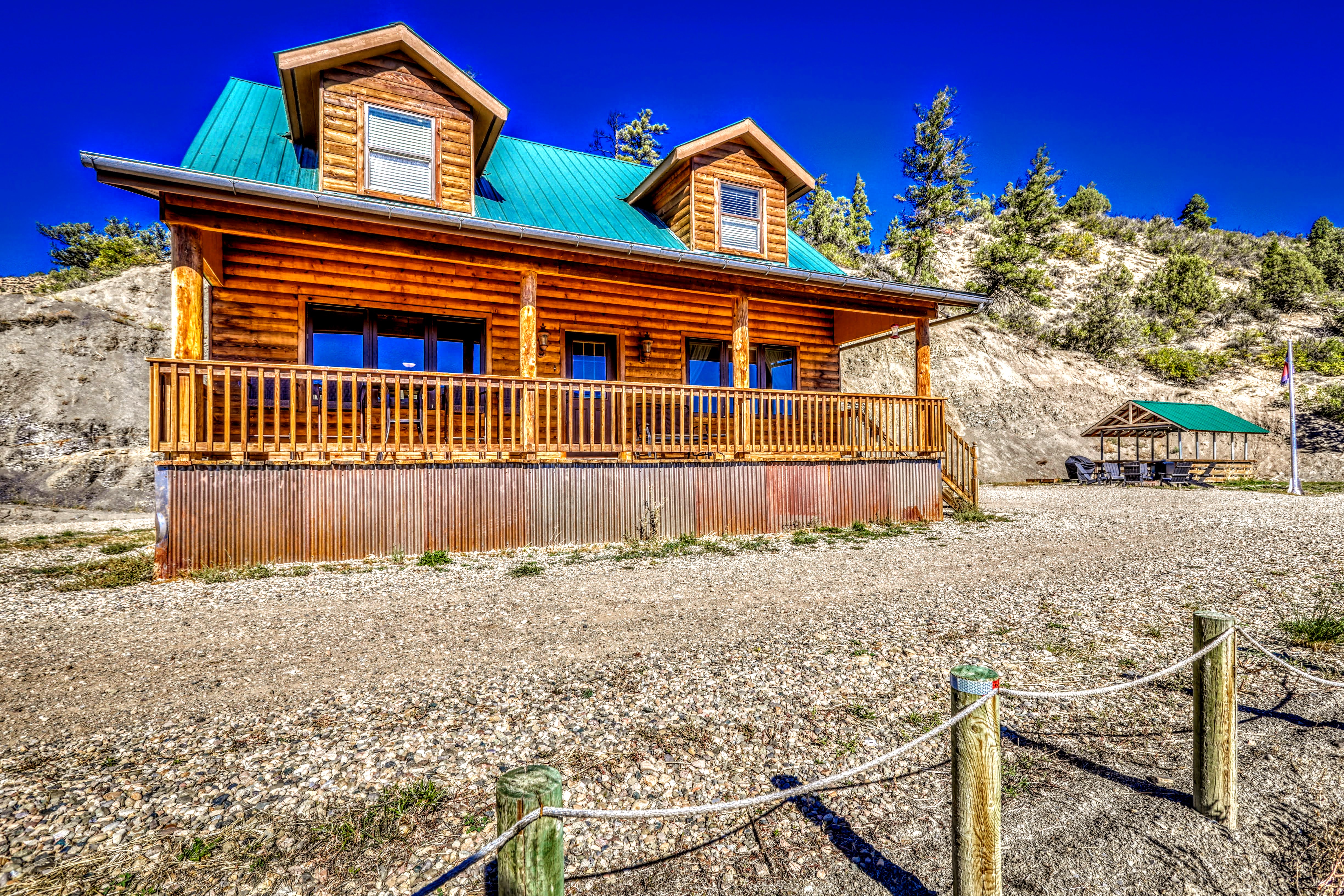 Forest view from cabin